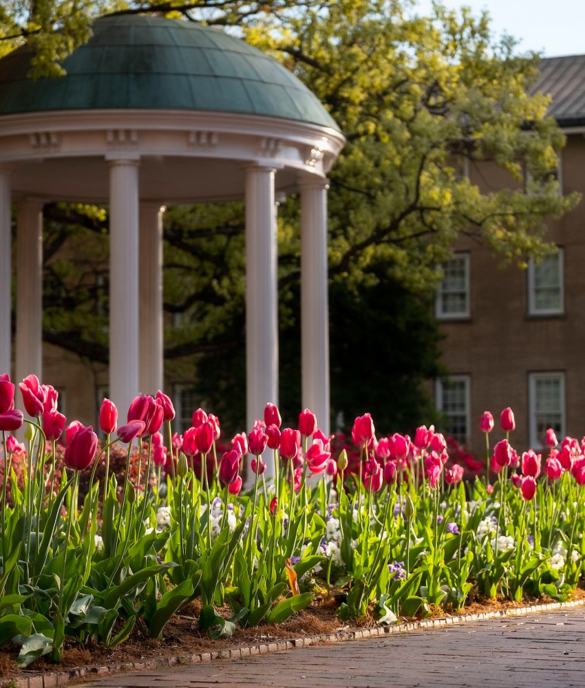 Spring campus scene at the Old Well on the campus of the University of North Carolina at Chapel Hill.